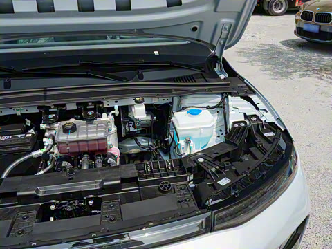 2025�� 650������