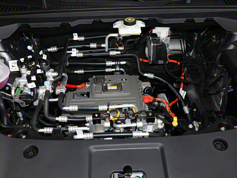 2025�� 520�ǻݰ�