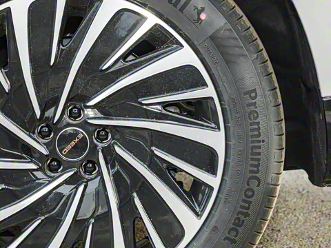 2025�� ���� 265 Max��������������ʻ