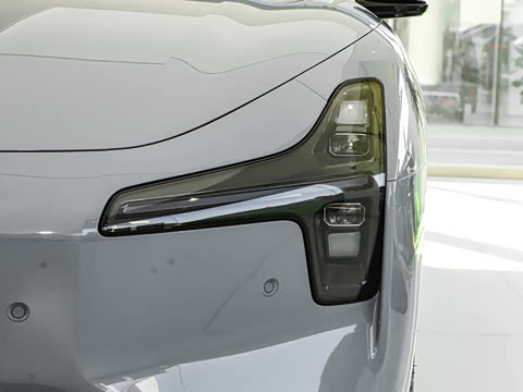 2025�� 502 ������ Max