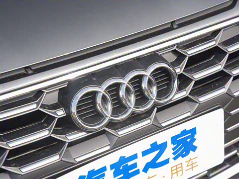 2021�� A3L Limousine 35 TFSI ��ȡ�˶���