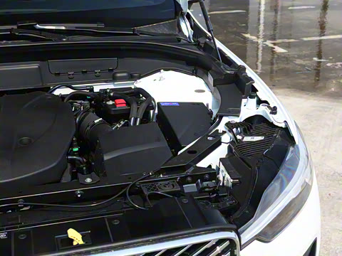 2026�� B5 �������ݺ�����