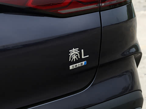 2025�� DM-i �Ǽݰ� 120KM׿Խ��