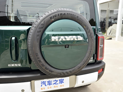 2025�� 2.0T 4WD Pro