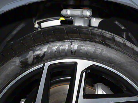 2026�� ����������