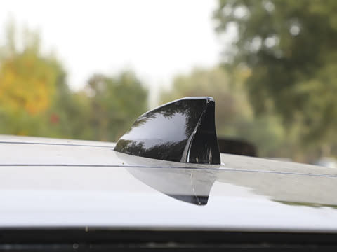 2024�� 1.5T P300e ���ʽ�綯��ϰ�