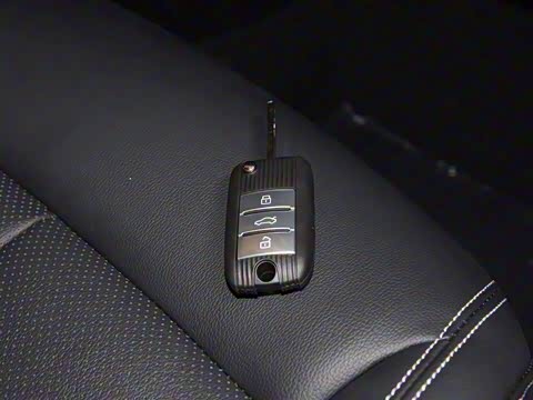 2020�� 20T �ֶ�Ali��������Խ�콢��