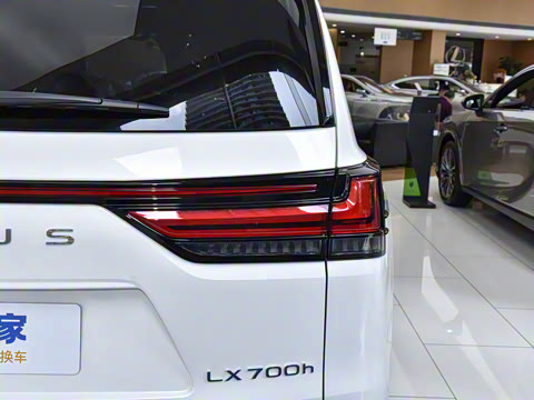 2025�� 700h VIP������