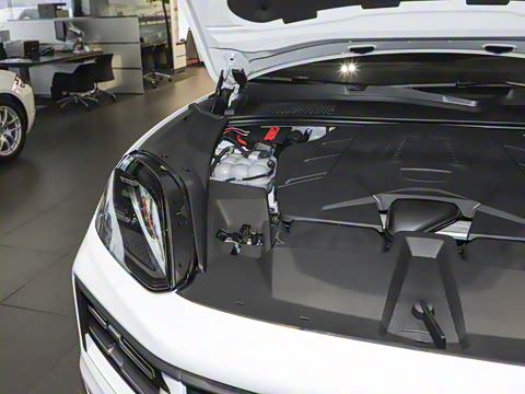 2025�� Cayenne 3.0T ���ΰ�