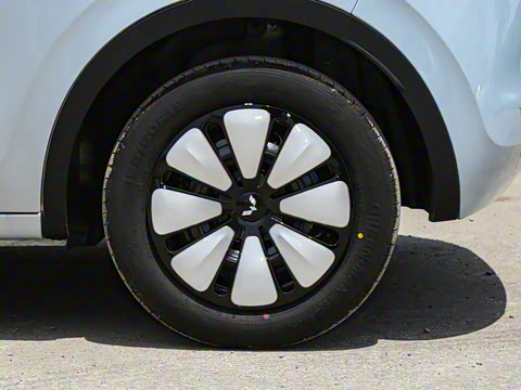 2025�� 333km ������