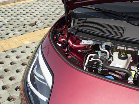 2025�� 330��ҫ��