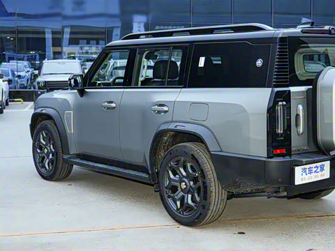 2025�� 2.0TD XWD �Զ�����