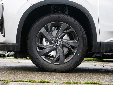 2025�� 518������