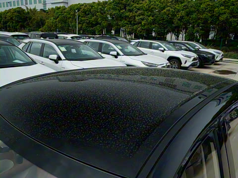 2025�� 333km ������