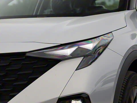 2025�� Ӱ�� 270T ������ ƽ������