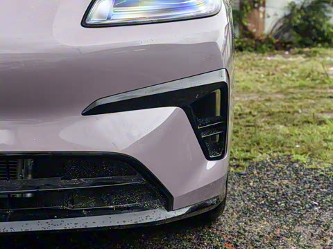 2025�� 650 ������