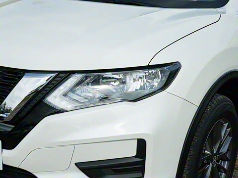 2025�� ���� 2.0L �������İ�