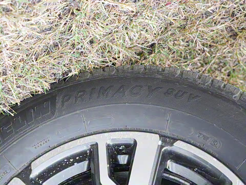 2023�� ���а� 2.0T ������