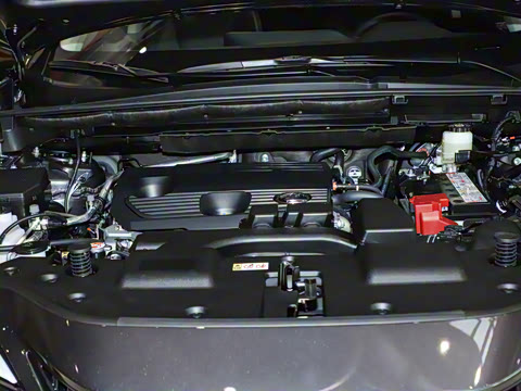 2025�� 260 ǰ�� �ر��