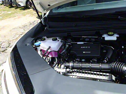 2025�� DM-i 170�캽Pro��