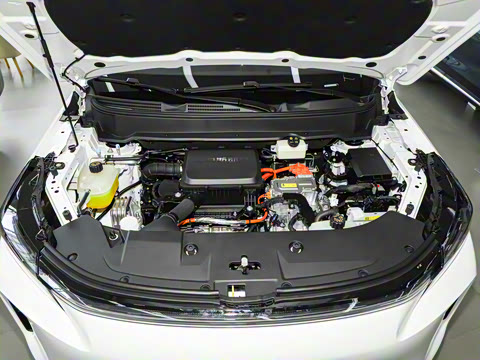 2026�� 165km ������������Max 7��