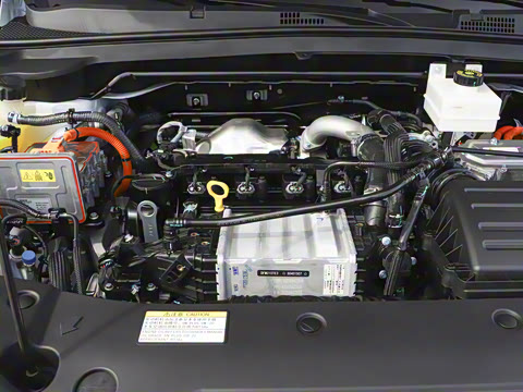 2025�� 205��������������