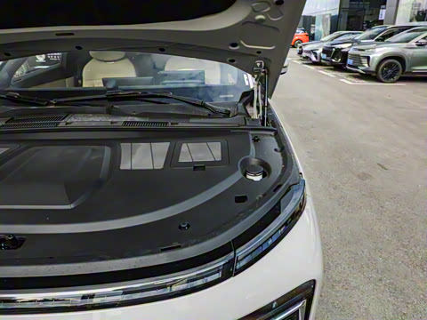 2025�� ���� 265 Max��������������ʻ