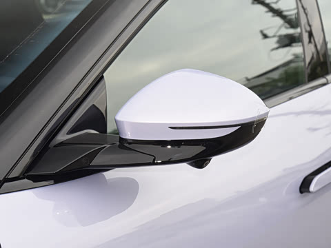 2025�� Max�����