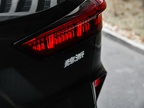 2021�� ��װ��