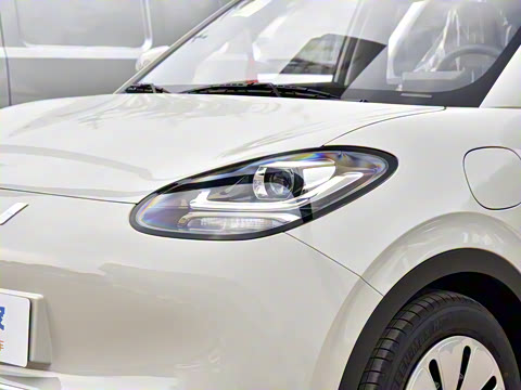 2023�� 333km ������