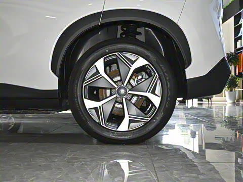 2023�� Plus 70 �������� ��Ԫ�