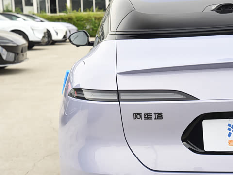 2025�� Max�����