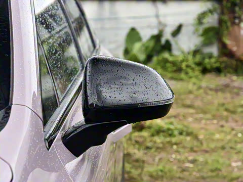 2025�� 650 ������