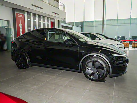 2025�� ����������