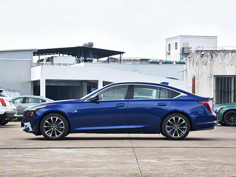 2025�� 28T �����˶���