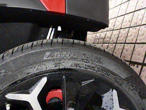 2022�� ������