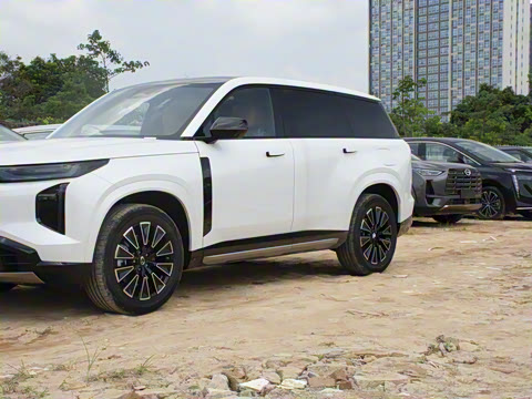 2025�� 115km Pro��