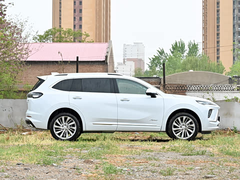 2025�� ������Plus ����Avenir��ά��