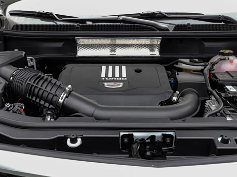 2021�� 28T ���������˶���