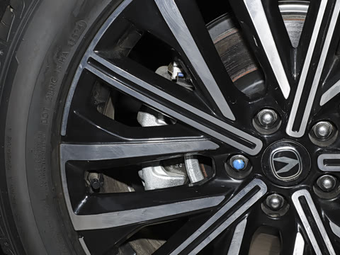 2024�� 2.0T ����������