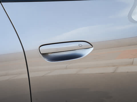 2025�� DM-i 170�캽Pro��