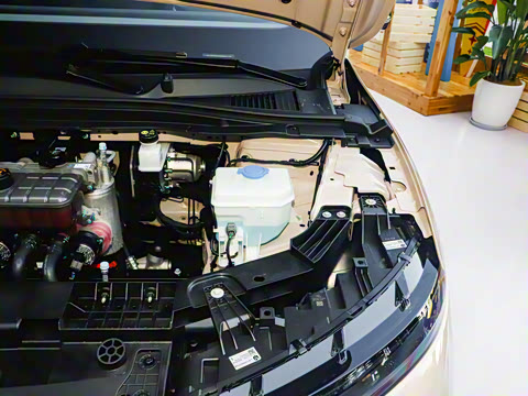 2025�� 550������