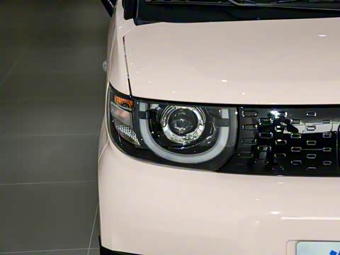 2025�� 205km ʥ����