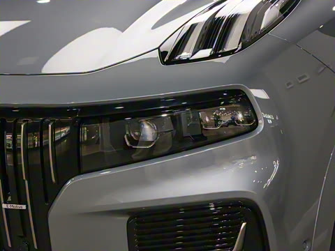 2025�� 2.0TD EM-P ����Max ����