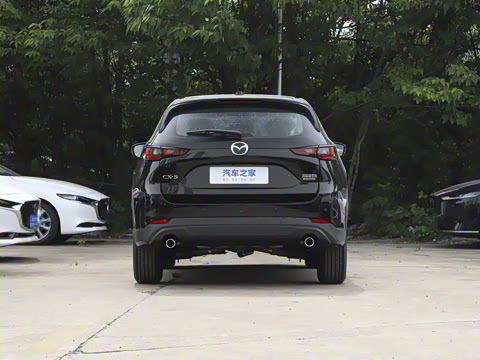 2024�� 2.0L �Զ�����������