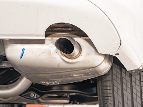 2021�� �񡤻춯 2.0L ����������