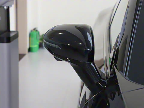 2025�� ���� 550ProѲ����