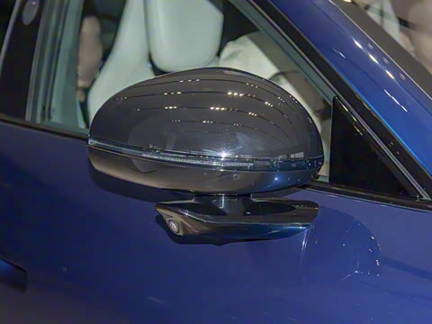 2025�� ������������������Max��