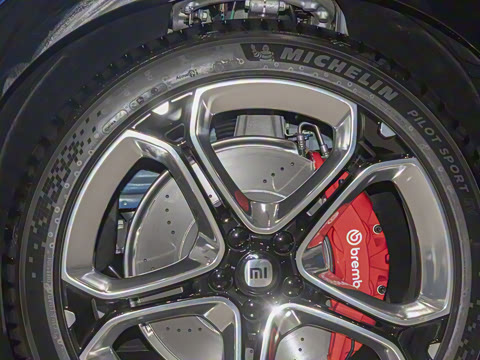 2025�� ������������������Max��