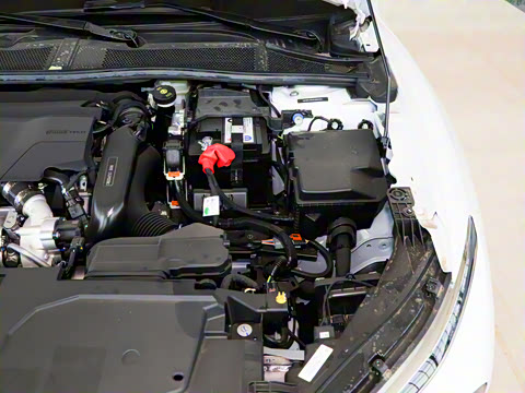 2025�� 1.6T �����